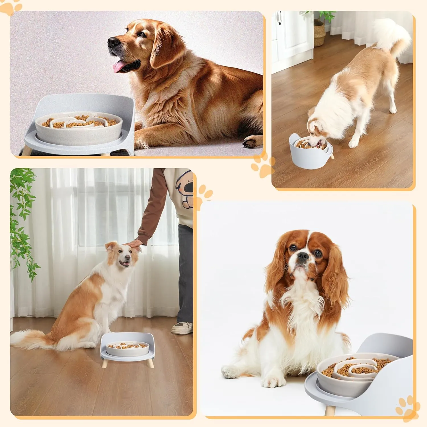 🍽️ Elevated Dog Bowl 🍽️