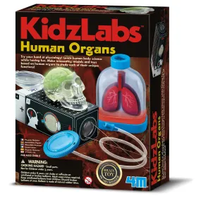 4M Kidz Labs / Human Organs