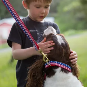 6 Foot Dog Leash: Stars and Stripes