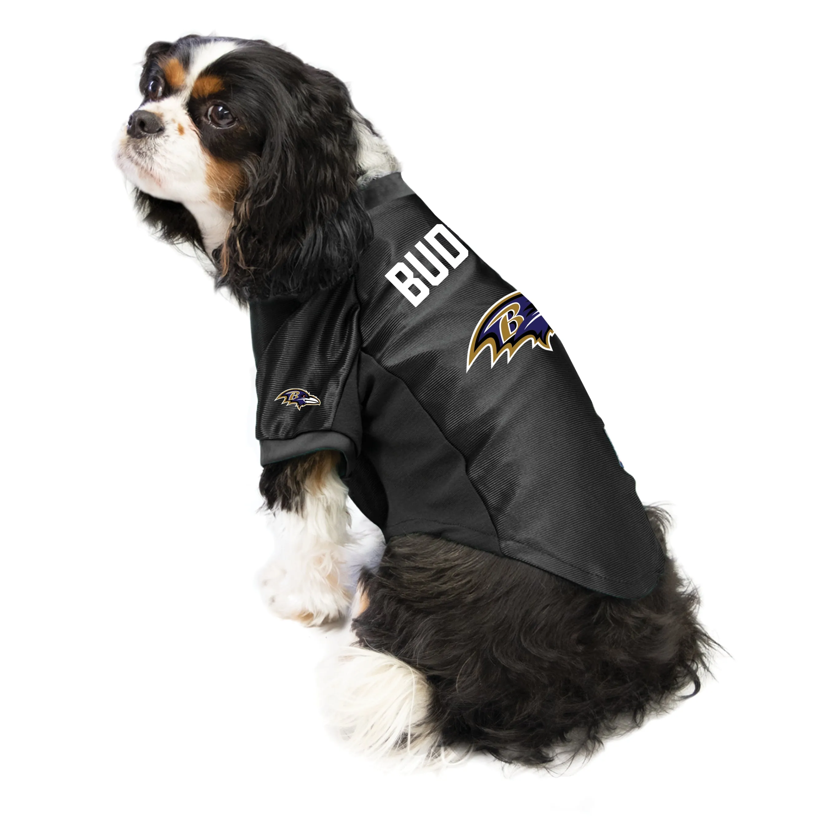 Baltimore Ravens Custom Pet Stretch Jersey