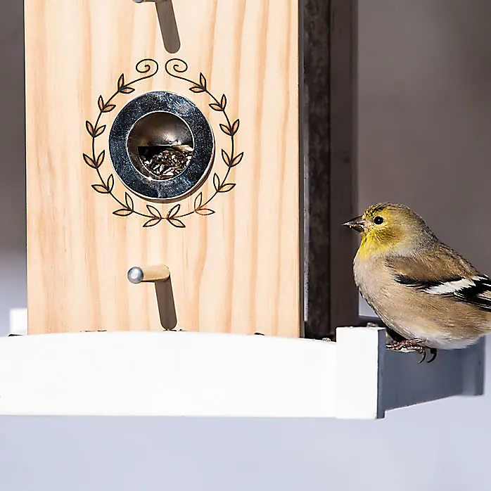 Birdfeeder - House with Wooden Roof