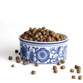 Blue & White Stoneware Pet Bowl - Small