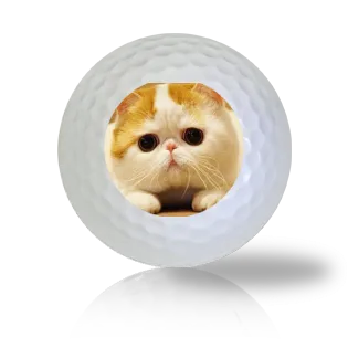 Cat Golf Balls