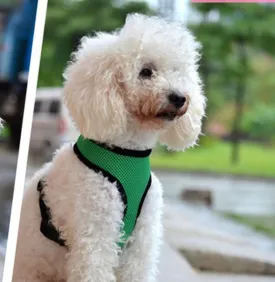 Dog Vest Harness