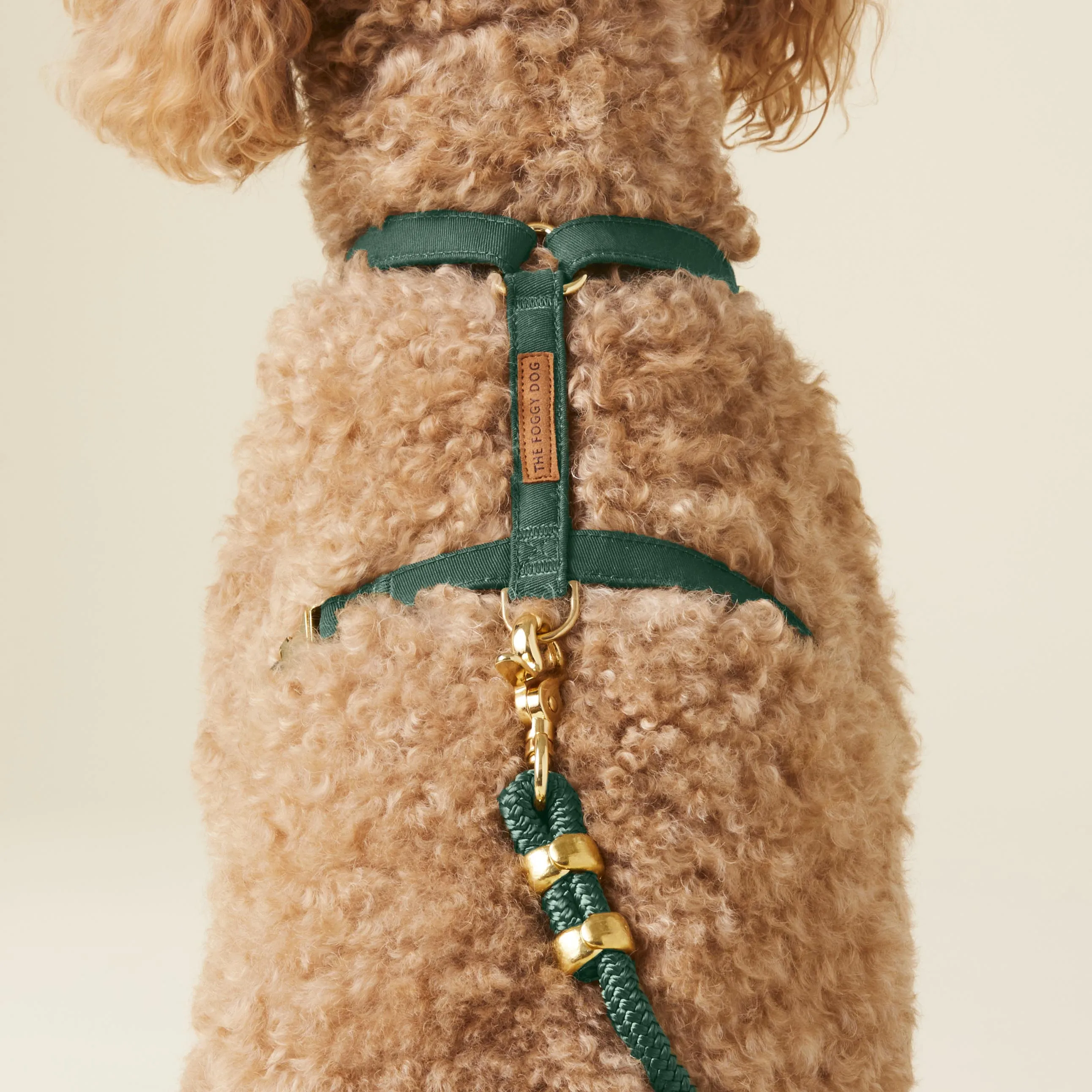 Evergreen Dog Harness