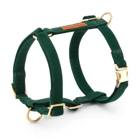 Evergreen Dog Harness