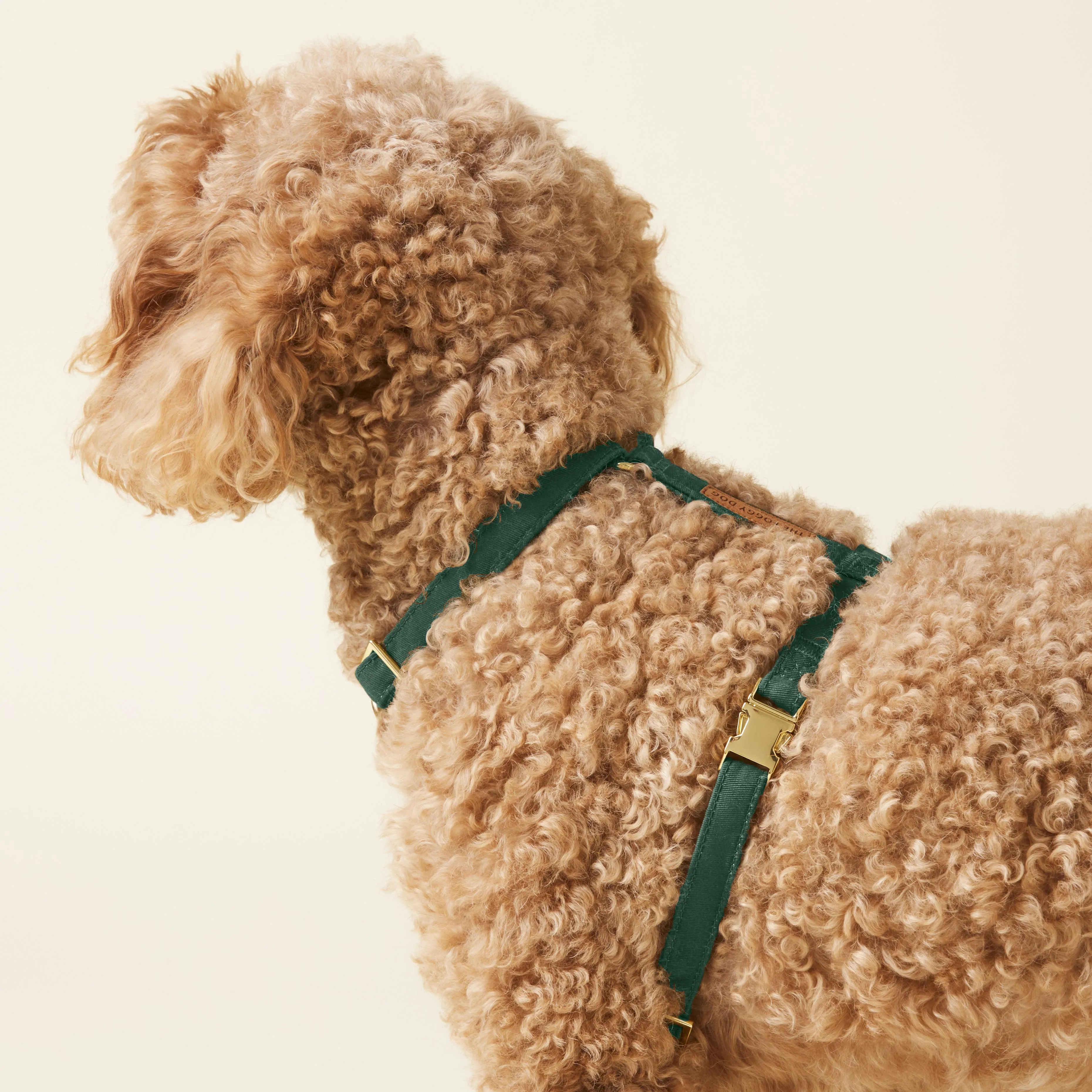 Evergreen Dog Harness