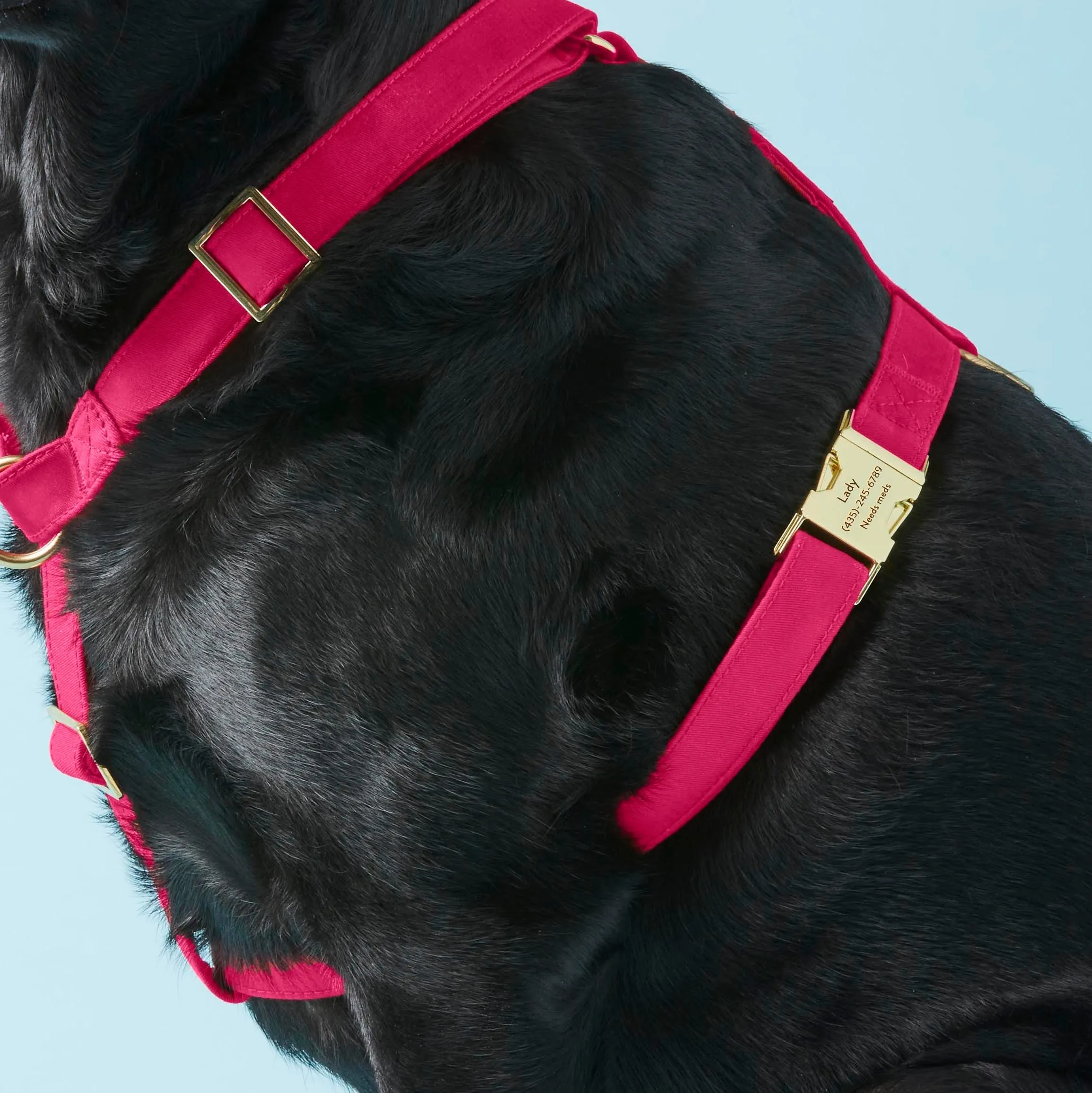 Hot Pink Dog Harness