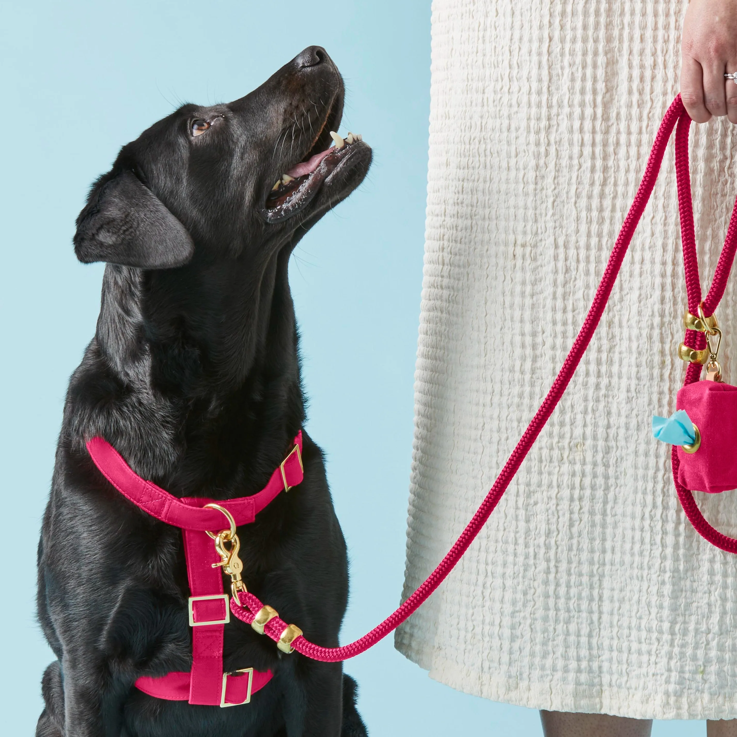 Hot Pink Dog Harness