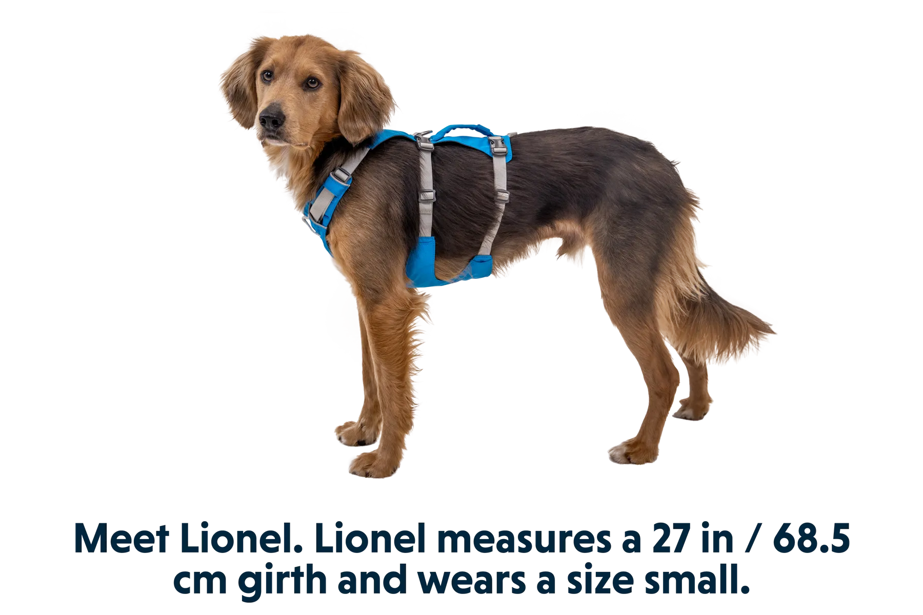 RP - Flagline™ Dog Harness with Handle