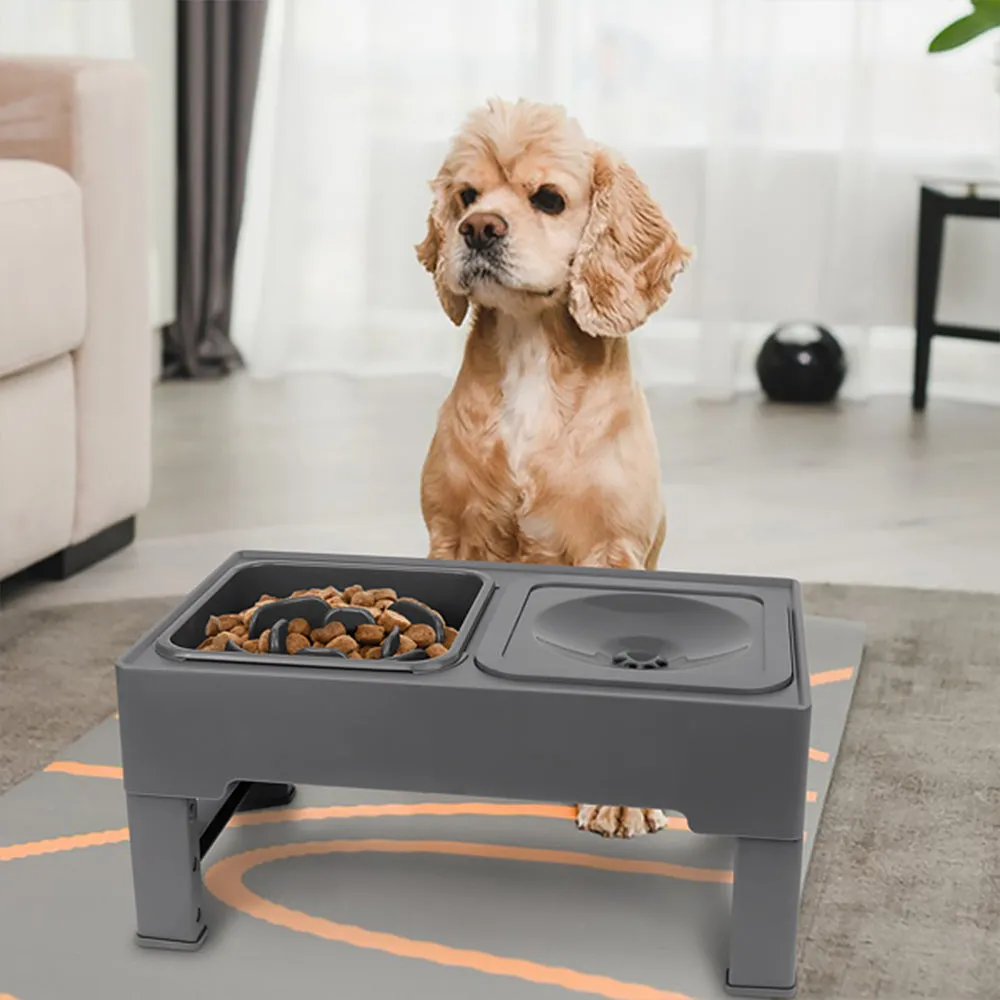 VitalVoyage™ Elevated Dog Bowl Slow Feeder